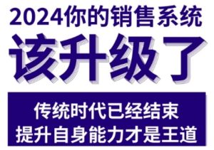 2024能落地的销售实战课，你的销售系统该升级了-网赚资源网