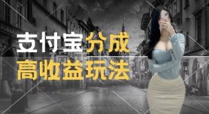 支付宝分成计划新玩法，利用交通事故视频，赚收益，轻松月入过W，操作简单【揭秘】-网赚资源网