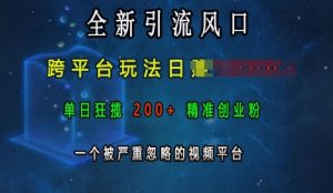 全新引流风口，跨平台玩法日入上k，单日狂揽200+精准创业粉，一个被严重忽略的视频平台-网赚资源网