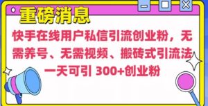 快手最新引流创业粉方法，无需养号、无需视频、搬砖式引流法【揭秘】-网赚资源网