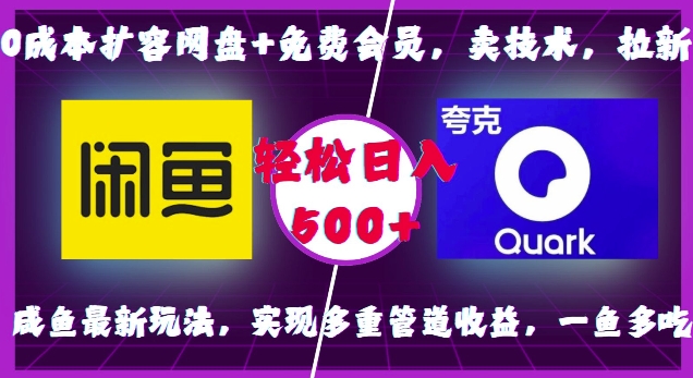 0成本扩容网盘+免费会员，卖技术，拉新，咸鱼最新玩法，实现多重管道收益，一鱼多吃，轻松日入500+ - 网赚资源网-网赚资源网