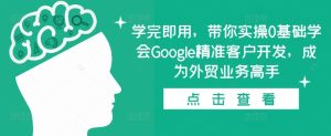 学完即用,带你实操0基础学会Google精准客户开发,成为外贸业务高手-网赚资源网