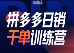 拼多多日销千单训练营第31期-微付费带免费流玩法-网赚资源网