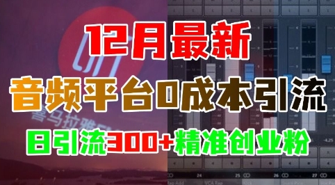 12月最新：音频平台0成本引流，日引流300+精准创业粉 - 网赚资源网-网赚资源网