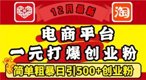 12月最新:电商平台1元打爆创业粉,简单粗暴日引500+精准创业粉,轻松月入过W【揭秘】-网赚资源网