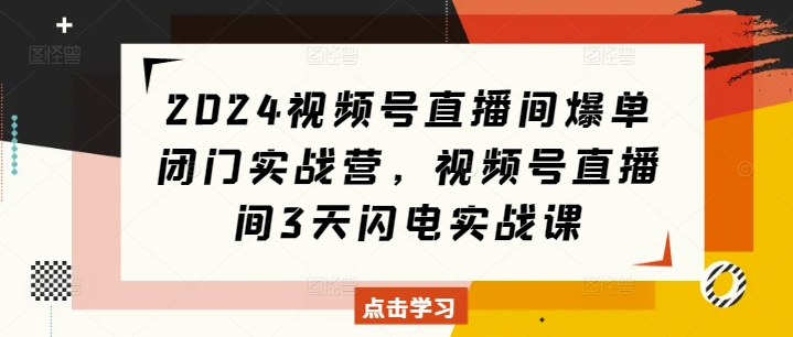 2024视频号直播间爆单闭门实战营，视频号直播间3天闪电实战课 - 网赚资源网-网赚资源网