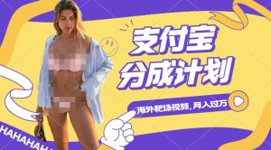 利用海外靶场射击视频,挣支付宝分成收益,轻松月入过W【揭秘】-网赚资源网