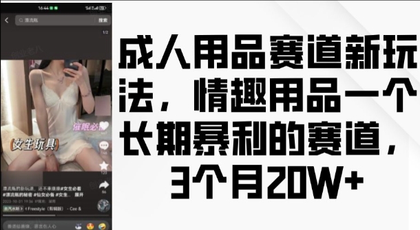 成人用品赛道新玩法，情趣用品一个长期暴利的赛道，3个月收益20个【揭秘】 - 网赚资源网-网赚资源网