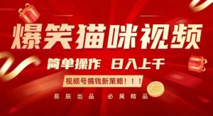 爆笑猫咪视频:简单操作,日入过K,视频号搞钱新策略【揭秘】-网赚资源网