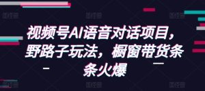 视频号AI语音对话项目,野路子玩法,橱窗带货条条火爆-网赚资源网