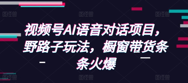 视频号AI语音对话项目，野路子玩法，橱窗带货条条火爆 - 网赚资源网-网赚资源网