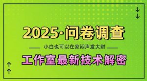 2025问卷调查最新工作室技术解密:一个人在家也可以闷声发大财,小白一天2张,可矩阵放大【揭秘】-网赚资源网
