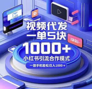 视频代发,一单5块,小红书引流合作模式,一部手机轻松日入多张【揭秘】-网赚资源网