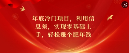 年底冷门项目，利用信息差，实现零基础上手，轻松赚个肥年钱【揭秘】 - 网赚资源网-网赚资源网