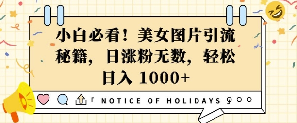 小白必看，美女图片引流秘籍，日涨粉无数，轻松日入几张【揭秘】 - 网赚资源网-网赚资源网