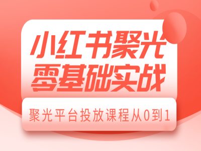 小红书聚光零基础实战，聚光平台投放课程从0到1 - 网赚资源网-网赚资源网