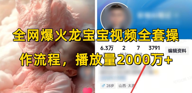全网爆火龙宝宝视频全套操作流程，播放量2000万+ - 网赚资源网-网赚资源网