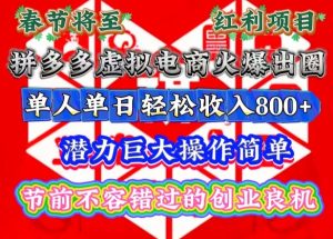 春节将至，拼多多虚拟电商火爆出圈，潜力巨大操作简单，单人单日轻松收入多张【揭秘】-网赚资源网
