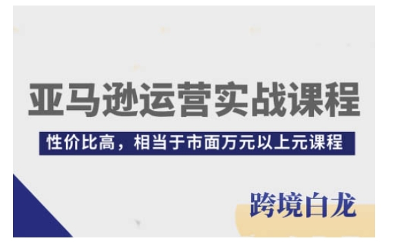 亚马逊运营实战课程，亚马逊从入门到精通，性价比高，相当于市面万元以上元课程 - 网赚资源网-网赚资源网
