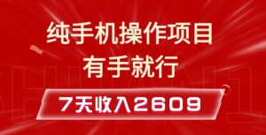 纯手机操作的小项目，有手就能做，7天收入2609+实操教程【揭秘】-网赚资源网