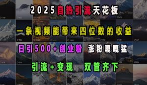 2025自热引流天花板，一条视频能带来四位数的收益，引流+变现双管齐下，日引500+创业粉，涨粉嘎嘎猛-网赚资源网