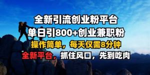 全新引流创业粉平台 单日引800+,创业兼职粉,操作简单,每天仅需8分钟【仅揭秘】-网赚资源网