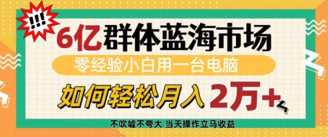 6亿群体蓝海市场，零经验小白用一台电脑，如何轻松月入过w【揭秘】 - 网赚资源网-网赚资源网