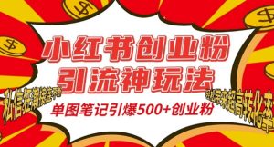 小红书创业粉引流神玩法，单图笔记引爆500+精准创业粉丝，私信狂潮接连不断-网赚资源网
