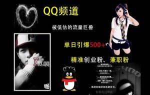 QQ频道：被低估的流量巨兽，单日引爆500+精准创业粉、兼职粉的引流秘籍-网赚资源网