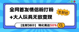 【生财36计】全网首发情侣粉打粉+大人玩具无敌变现-网赚资源网