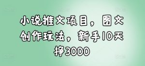 小说推文项目，图文创作玩法，新手10天挣3000-网赚资源网