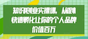 知识IP创业实操课,从0到1快速孵化让你的个人品牌价值百万-网赚资源网