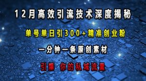 最新高效引流技术深度揭秘 ,单号单日引300+精准创业粉,一分钟一条原创素材,引爆你的私域流量-网赚资源网