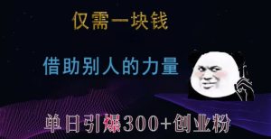仅需一块钱,借助别人的力量,单日引爆300+创业粉、兼职粉【揭秘】-网赚资源网