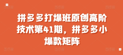 拼多多打爆班原创高阶技术第41期，拼多多小爆款矩阵 - 网赚资源网-网赚资源网
