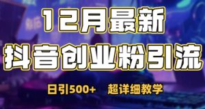 最新公开：12月份抖音日引500+创业粉秘籍-网赚资源网