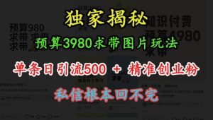 预算3980求带 图片玩法,单条日引流500+精准创业粉,私信根本回不完-网赚资源网