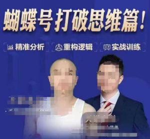 天诺老吴蝴蝶号50节线上课，蝴蝶号打破思维篇-网赚资源网