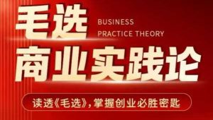 毛选商业实践论,读透《毛选》掌握创业必胜密匙-网赚资源网