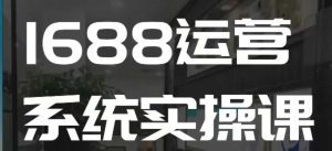 1688高阶运营系统实操课,快速掌握1688店铺运营的核心玩法-网赚资源网