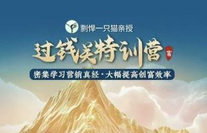 剽悍一只猫-过钱关特训营,学习营销真经 大幅度提高创富效率-网赚资源网