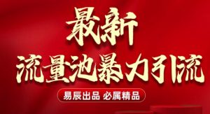 最新“流量池”无门槛暴力引流(全网首发)日引500+-网赚资源网