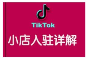 TikTok跨境小店运营全攻略,帮助你独立运营TK跨境小店的能力,实现销量增长-网赚资源网