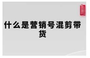 营销号混剪带货，从内容创作到流量变现的全流程，教你用营销号形式做混剪带货-网赚资源网