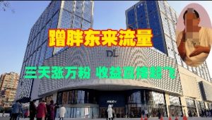 蹭胖东来流量，三天涨万粉，收益直接起飞-网赚资源网