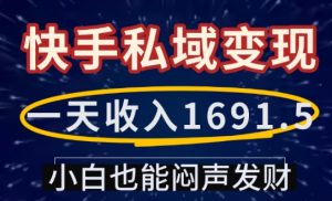 一天收入1691.5,快手私域变现,小白也能闷声发财-网赚资源网