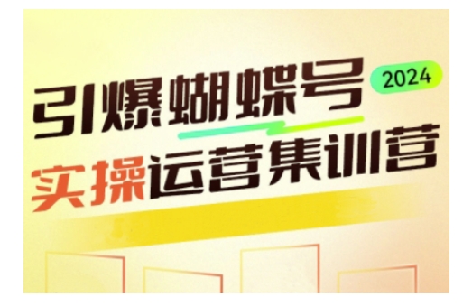 引爆蝴蝶号实操运营，助力你深度掌握蝴蝶号运营，实现高效实操，开启流量变现之路 - 网赚资源网-网赚资源网
