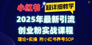 2025年最新小红书引流创业粉实战课程【超详细教学】小白轻松上手，月入1W+，附小红书养号SOP-网赚资源网