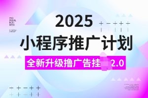 2025小程序推广计划,全新升级撸广告挂JI2.0玩法,日入多张,小白可做【揭秘】-网赚资源网
