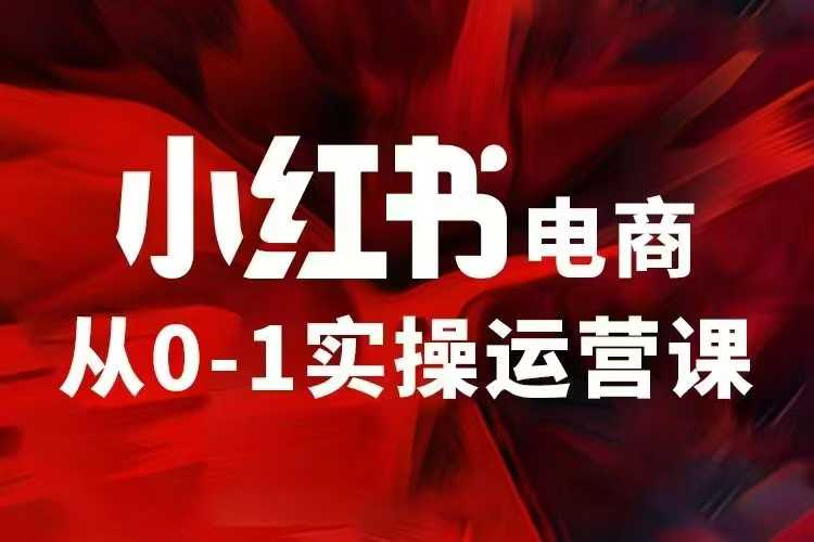 小红书电商运营，97节小红书vip内部课，带你实现小红书赚钱 - 网赚资源网-网赚资源网